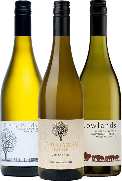 Sauvignon Blanc Classics Collection - Sauvignon Blanc - Black Market