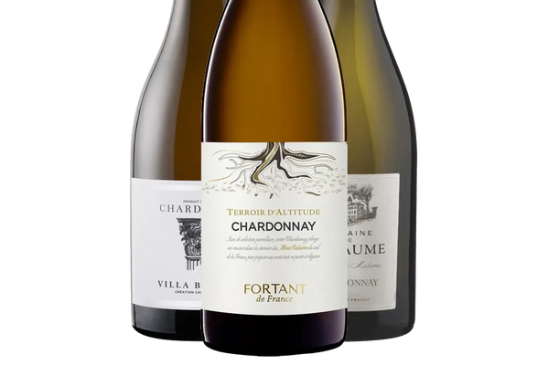 French Chardonnay Discovery Collection (France) - Chardonnay - Black Market