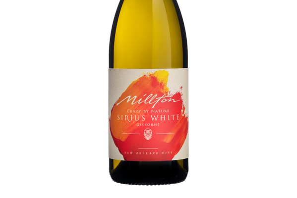 Millton Crazy By Nature Gisborne Sirius White 2021 - Field Blend - Black Market