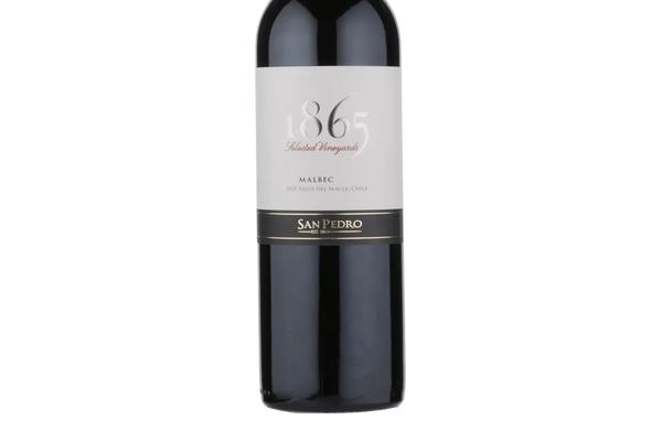 San Pedro 1865 Single Vineyard Malbec 2016 (Chile) - Malbec - Black Market