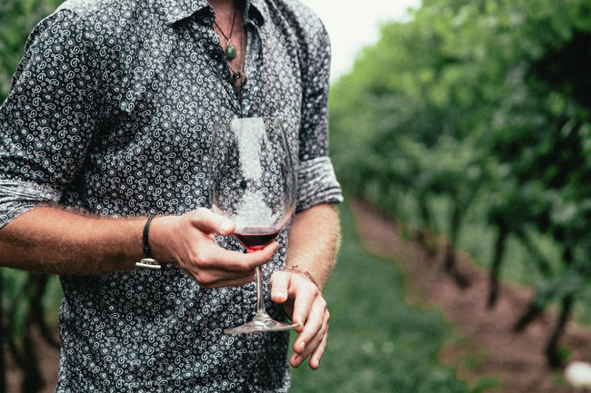 Man holding a glass of red wine in a vineyard