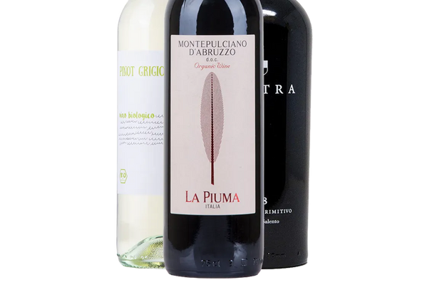 Organic Italian Discovery Selection (Italy) - Mixed Case - Black Market