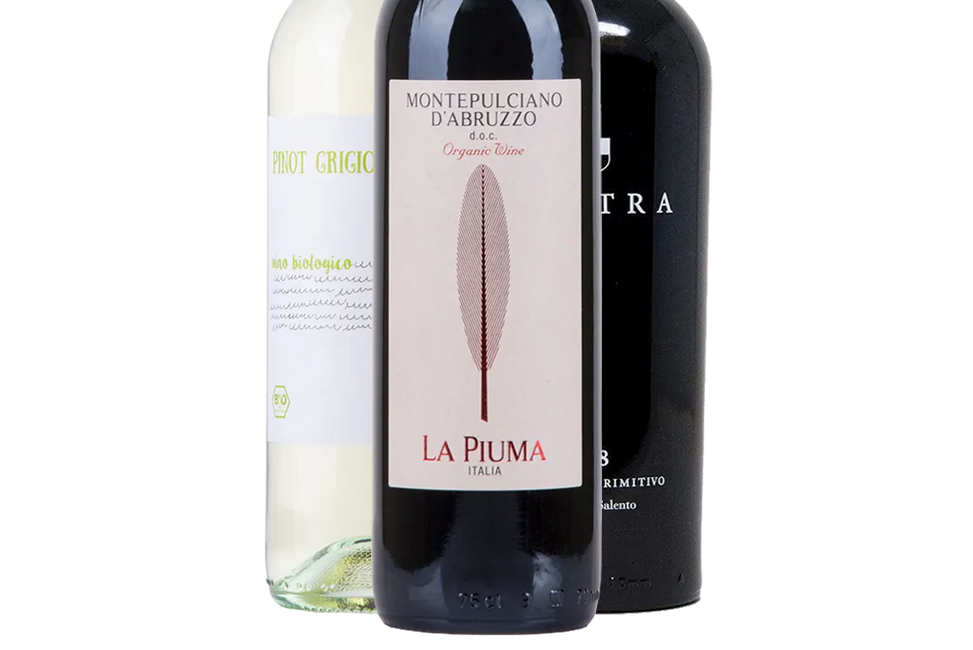 Organic Italian Discovery Selection (Italy) - Mixed Case - Black Market