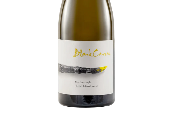 Blank Canvas Reed Marlborough Chardonnay 2019 - Chardonnay - Black Market