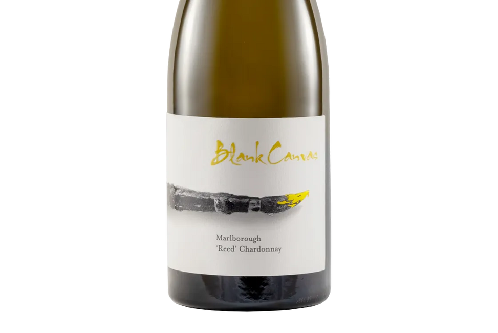 Blank Canvas Reed Marlborough Chardonnay 2019 - Chardonnay - Black Market