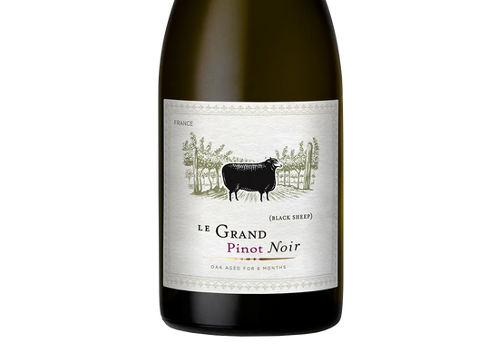 Le Grand Noir Pinot Noir 2019 (France) - Pinot Noir - Black Market