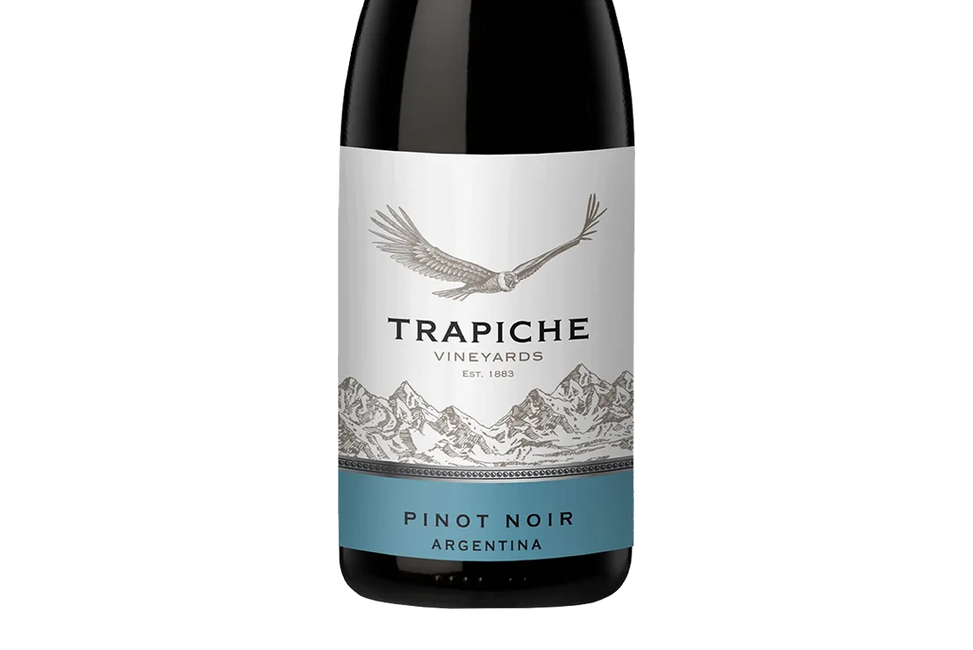Trapiche Vineyards Pinot Noir 2020 (Argentina) - Pinot Noir - Black Market