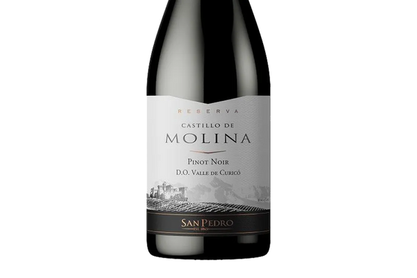Castillo de Molina Reserva Pinot Noir 2018 (Chile) - Pinot Noir - Black Market