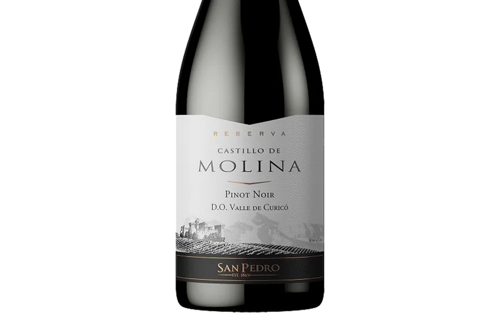 Castillo de Molina Reserva Pinot Noir 2018 (Chile) - Pinot Noir - Black Market