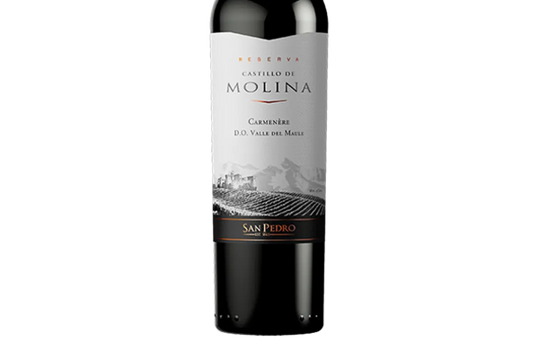 Castillo de Molina Reserva Carmenère 2019 (Chile) - Carmenere - Black Market
