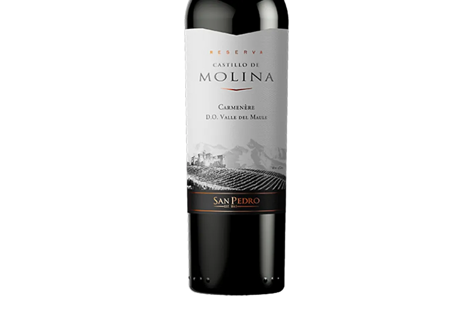 Castillo de Molina Reserva Carmenère 2019 (Chile) - Carmenere - Black Market