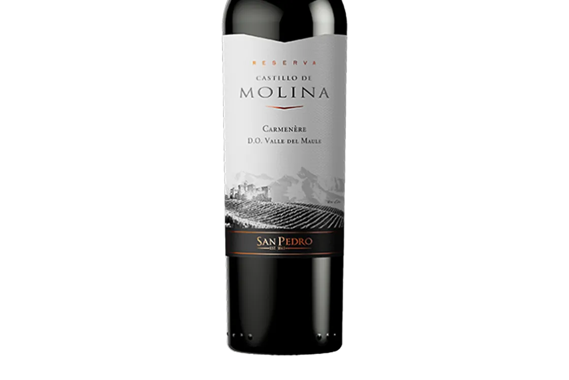 Castillo De Molina Reserva Carmenère 2019 (Chile) - Carmenere - Black Market