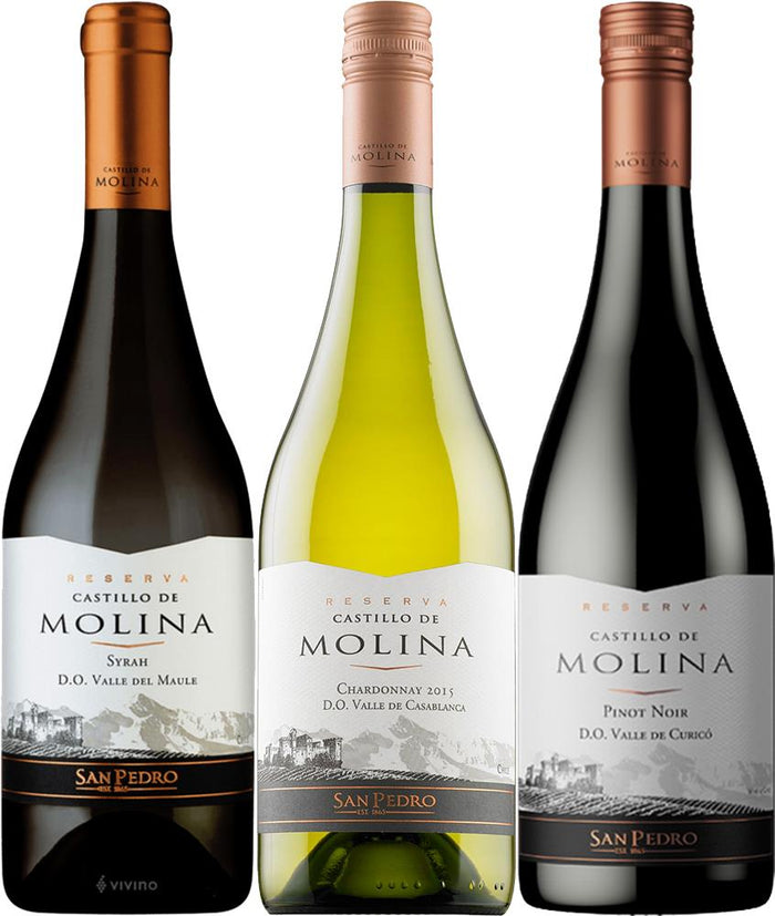 Castillo de Molina Reserva Collection (Chile) - Mixed Case - Black Market