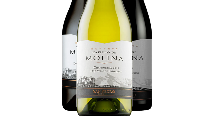 Castillo de Molina Reserva Collection (Chile) - Mixed Case - Black Market