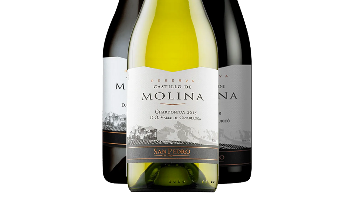 Castillo de Molina Reserva Collection (Chile) - Mixed Case - Black Market