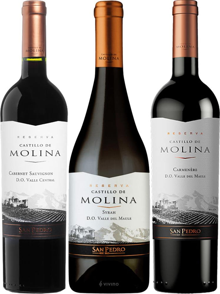 Castillo de Molina Reserva Red Collection (Chile) - Mixed Case - Black Market