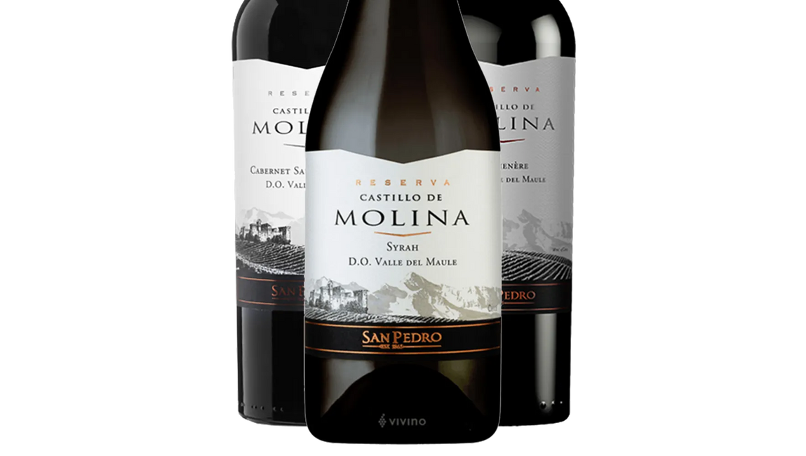 Castillo de Molina Reserva Red Collection (Chile) - Mixed Case - Black Market