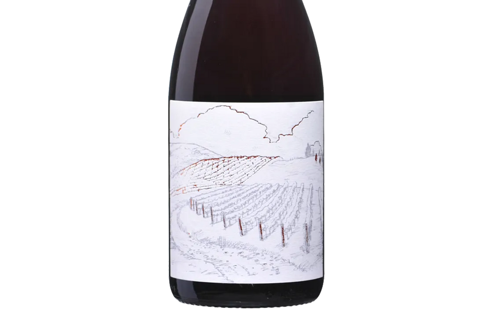 Greystone Organic Vineyard Ferment Waipara Pinot Noir 2019 - Pinot Noir - Black Market