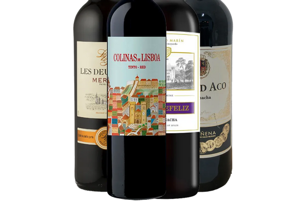 European Winter Comfort Reds Collection - - Black Market