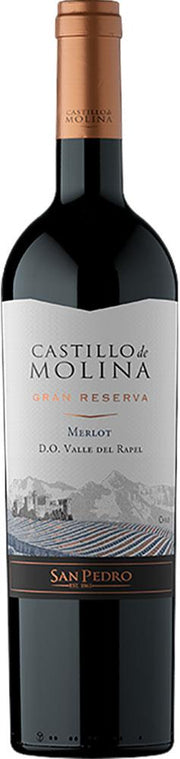 Castillo de Molina Gran Reserva Merlot 2021 (Chile) - Merlot - Black Market