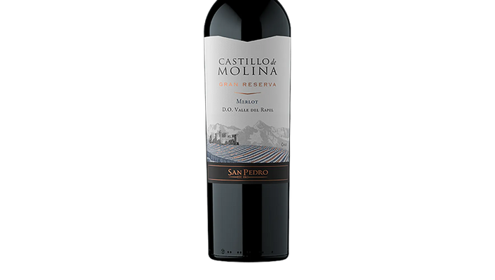 Castillo de Molina Gran Reserva Merlot 2021 (Chile) – Black Market