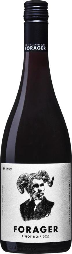 Forager North Canterbury Pinot Noir 2020 - Pinot Noir - Black Market