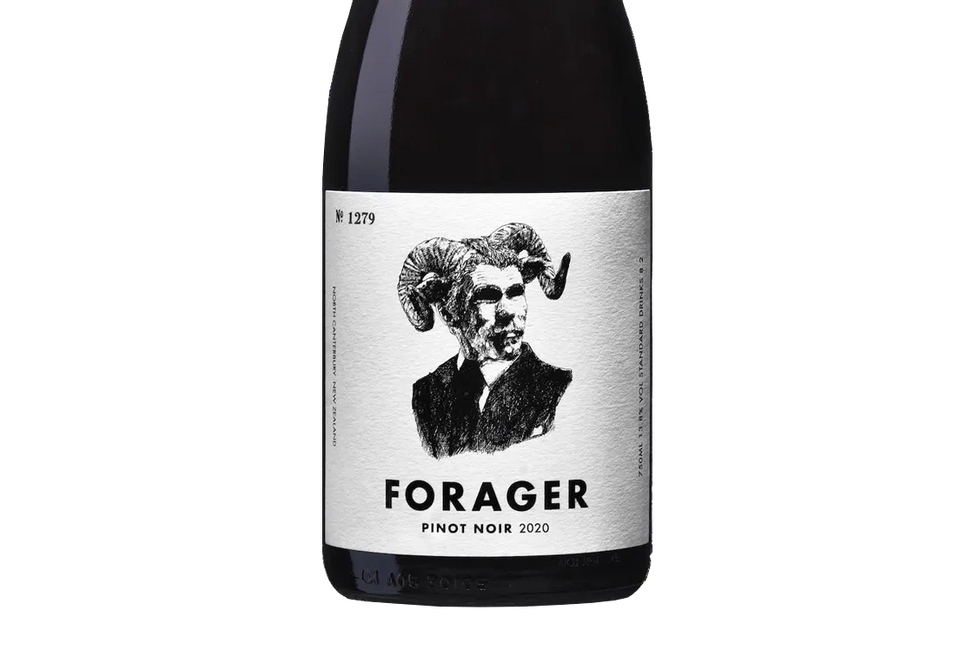 Forager North Canterbury Pinot Noir 2020 - Pinot Noir - Black Market