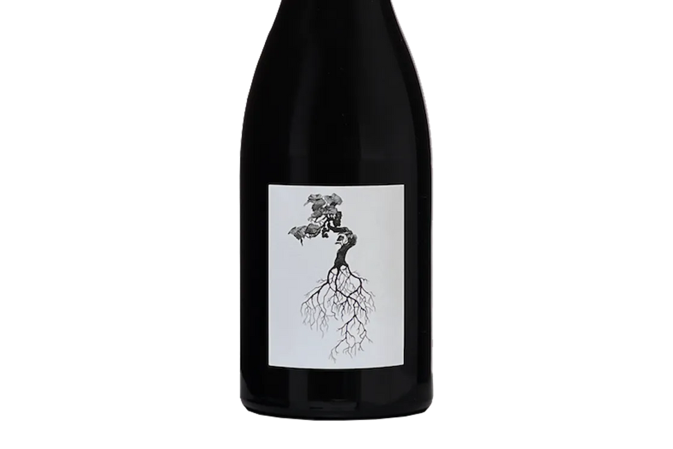 Pakiaka Hawke's Bay Syrah 2022 - Syrah - Black Market