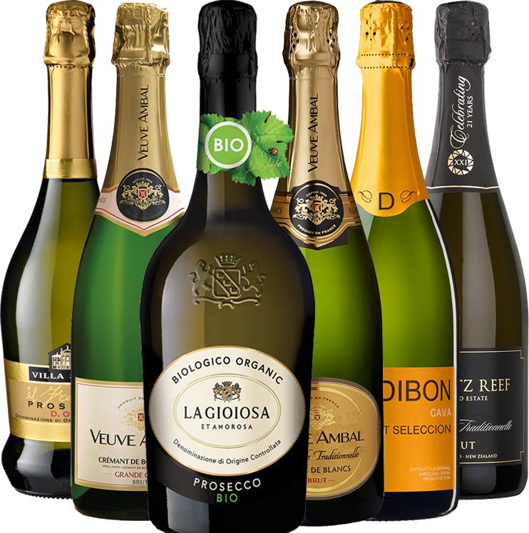 Endless Summer Bubbles Collection (01) - Mixed Case - Black Market