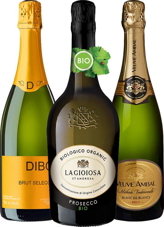 Summer Sparkling Collection - Mixed Case - Black Market