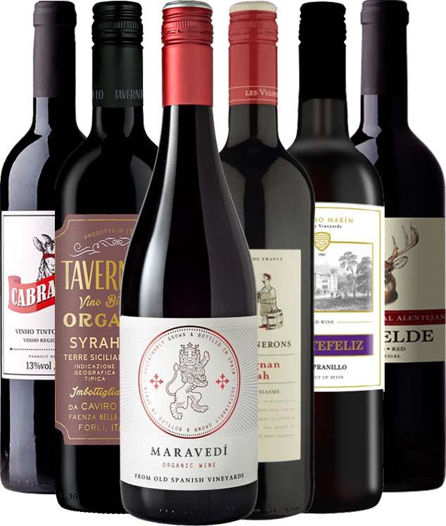 Summer Euro Red Discovery Collection - Mixed Case - Black Market