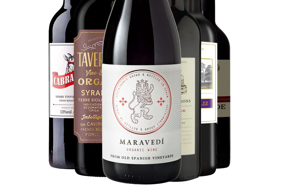 Summer Euro Red Discovery Collection - Mixed Case - Black Market