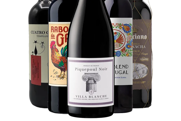 European Winter Reds Value Collection - Mixed Case - Black Market