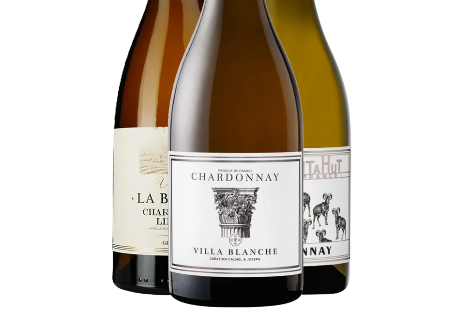 French Chardonnay Discovery Collection (France) (01) - Chardonnay - Black Market