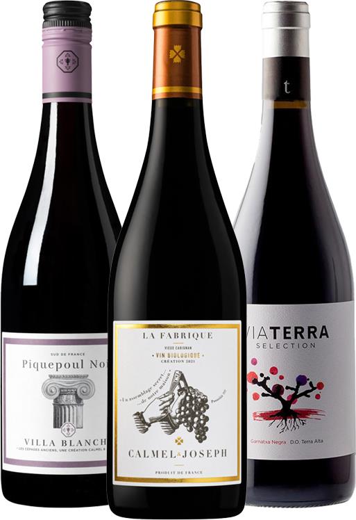The Old World Old Vine Collection - Mixed Case - Black Market