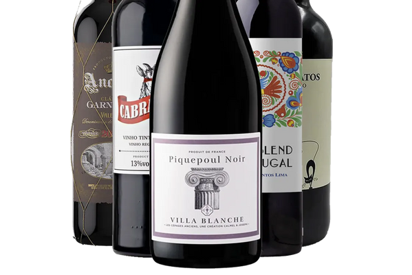 European Winter Reds Value Collection (01) - Mixed Case - Black Market