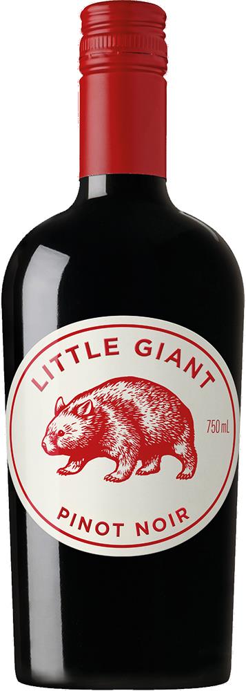 Little Giant South Australia Pinot Noir 2025 (Australia) - Pinot Noir - Black Market