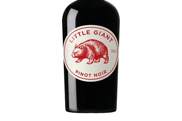 Little Giant South Australia Pinot Noir 2025 (Australia) - Pinot Noir - Black Market