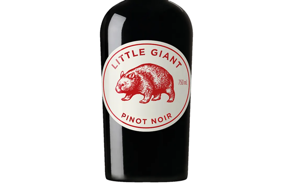 Little Giant South Australia Pinot Noir 2025 (Australia) - Pinot Noir - Black Market