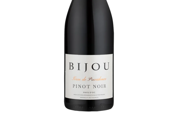 Bijou Terre de Providence Pinot Noir 2025 (France) - Pinot Noir - Black Market