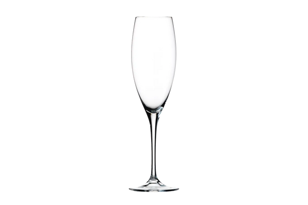 Eisch Jeunesse Grand Champagne Glass - Glass - Black Market