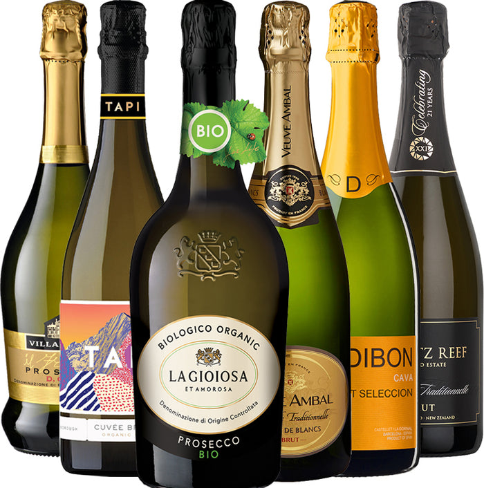Endless Summer Bubbles Collection (02) - Mixed Case - Black Market