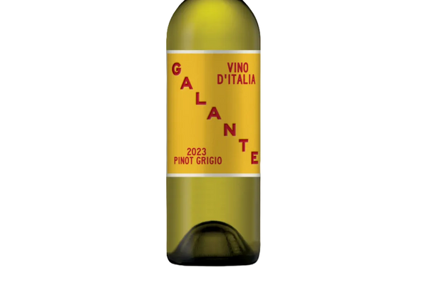 Galante Pinot Grigio 2023 (Italy) - Pinot Grigio - Black Market