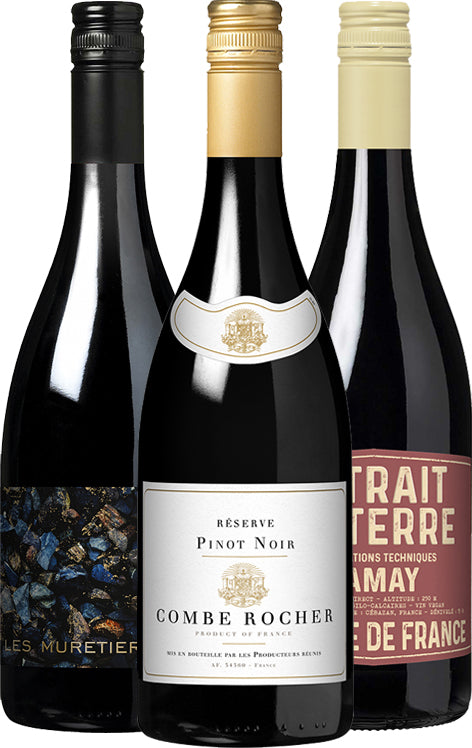 Southern French Reds Collection by Steve Bennett MW (France) - - Black Market
