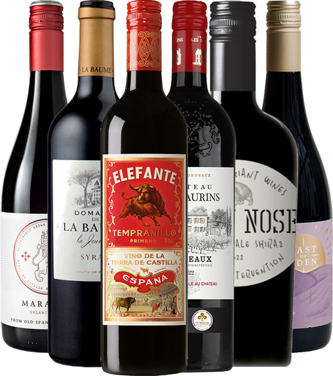 Winter Warmer Reds Collection - - Black Market