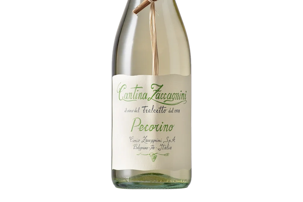 Zaccagnini Tralcetto Pecorino d'Abruzzo DOC 2024 (Italy) - Pecorino - Black Market